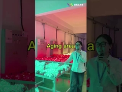 LED ağ ekran