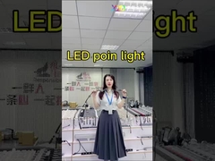12V IP68 Noel Bayramı Funfair için Dış Daimi LED Işıklar
