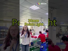 Manzara Tam Renkli LED Nokta Işıkları Smd5050 IP67 24v Tatil Işıklandırması için
